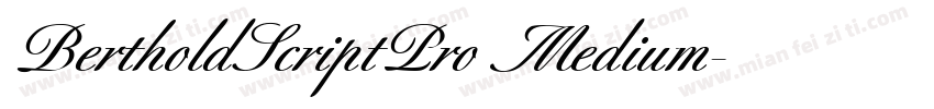 BertholdScriptPro Medium字体转换